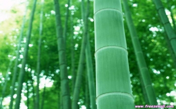 Không vướng mắc